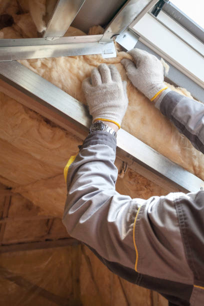 Best Blown-In Insulation  in Walden, TN