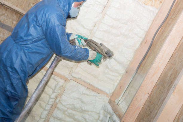 Best Attic Insulation Installation  in Walden, TN